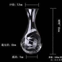 Load image into Gallery viewer, Modern Wine Glass Wine & Decanter Set